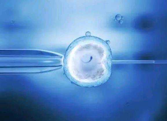 温州能不能借卵做试管 温州二院生殖医学中心 ‘通过孕囊值看男女’