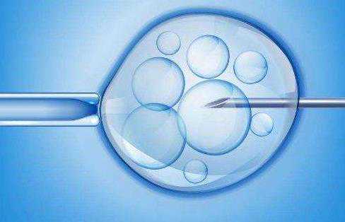 厦门代孕医院的价格_37岁贺军翔二胎产女，美国试管婴儿冻胚与冻卵相比有哪些