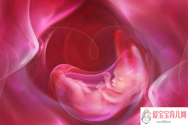 厦门代孕中心是合法的吗_试管婴儿移植后几天可以验孕试管婴儿移植验孕成功